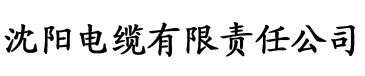 香蕉大人免费在在线观看电缆厂logo